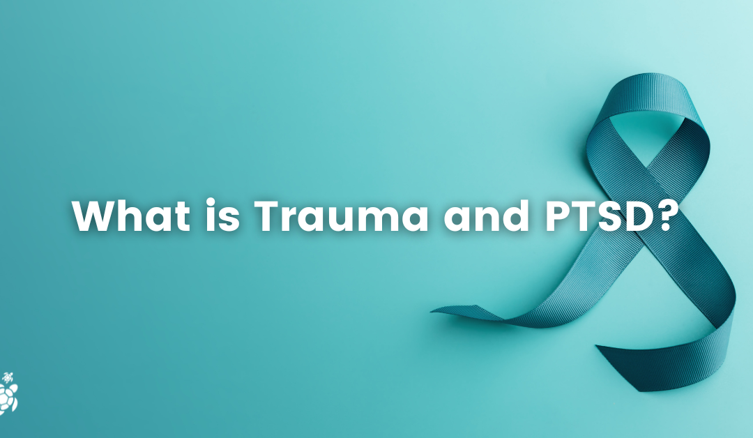 What is Trauma and PTSD?