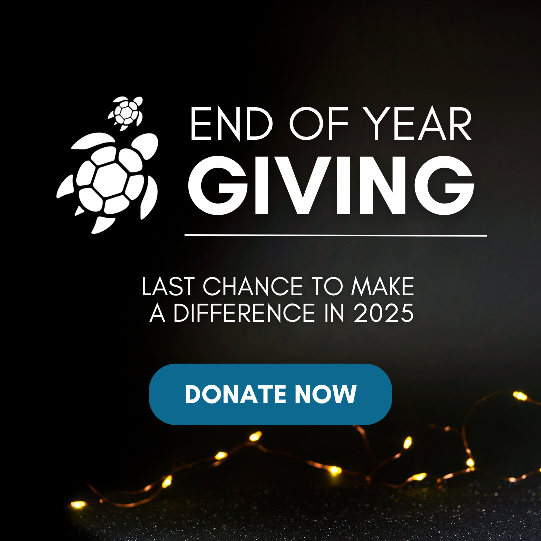 End of Year Giving — Last Chance to Make a Difference in 2025 — Donate Now