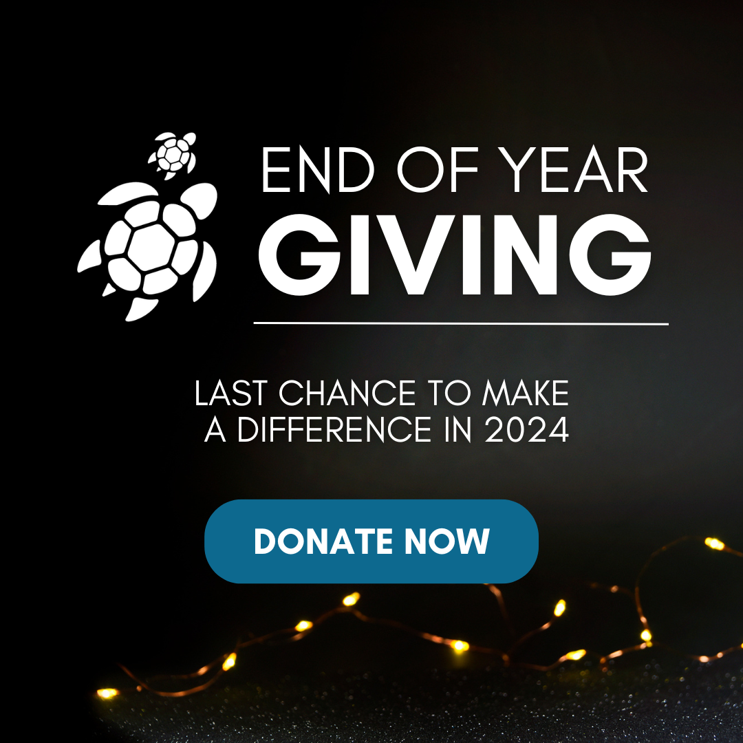 End of Year Giving — Last Chance to Make a Difference in 2024 — Donate Now